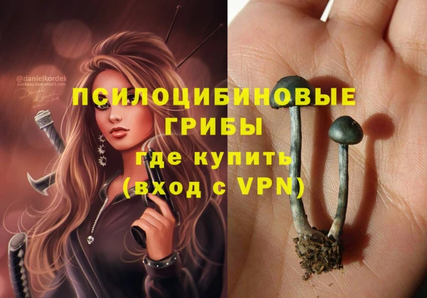 мдпв Армянск