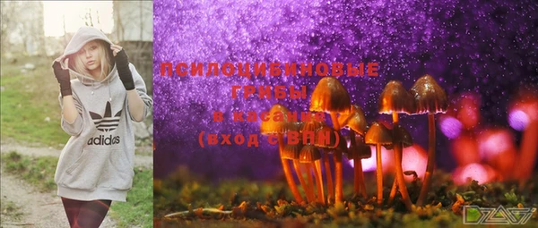 мяу мяу мука Аркадак