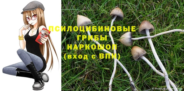 мяу мяу мука Аркадак